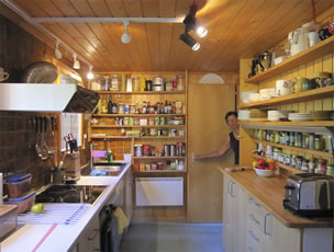 Hind in Kitchen